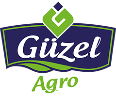 Güzel Gıda